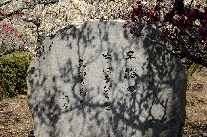 f0108478_1423272.jpg
