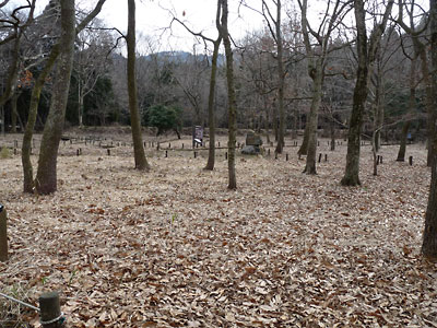 c0152779_2123740.jpg