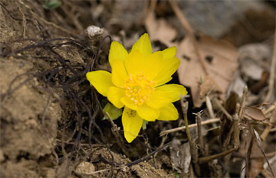 c0152779_2124631.jpg
