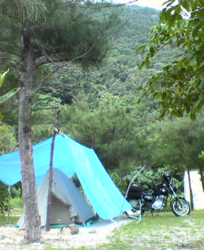 f0137483_23323246.jpg