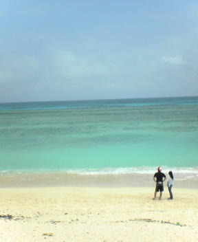 f0137483_2371373.jpg