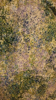 a0292989_197820.jpg