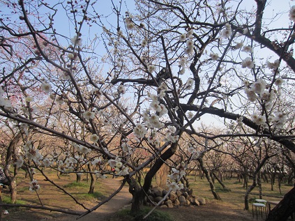 f0234590_9183598.jpg