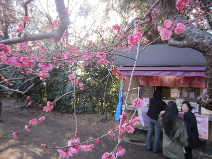 f0234590_9184182.jpg