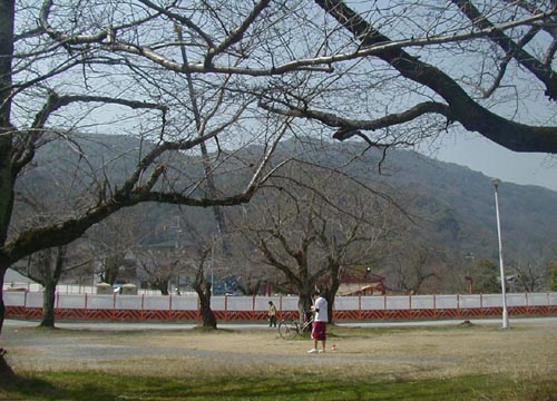 d0053294_125613.jpg