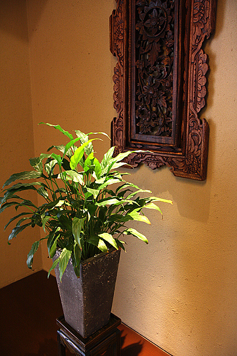 c0025895_095572.jpg