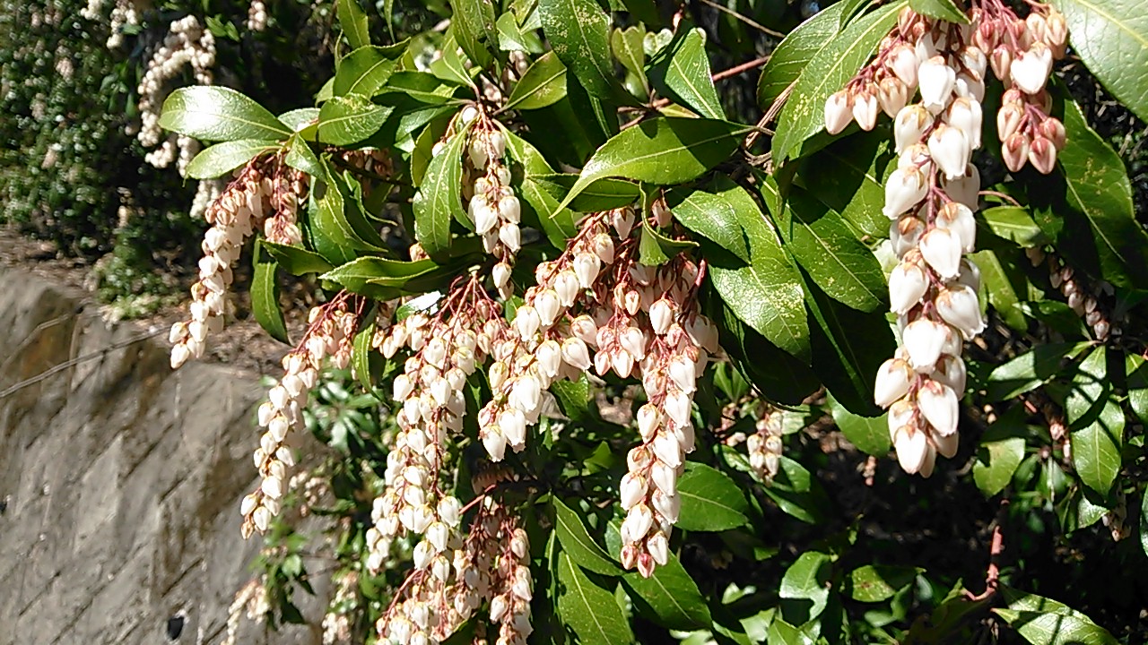 b0125397_110740.jpg