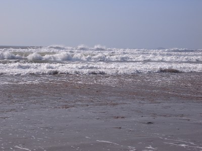 b0110999_1793399.jpg