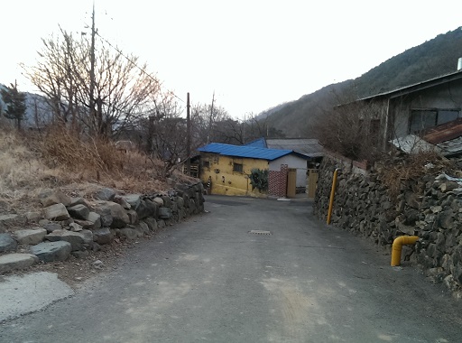 a0140305_227581.jpg