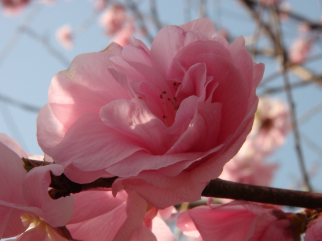 f0231709_2292656.jpg