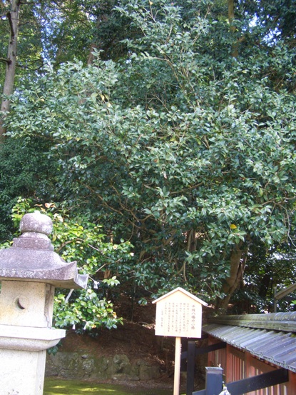 e0033713_14070690.jpg