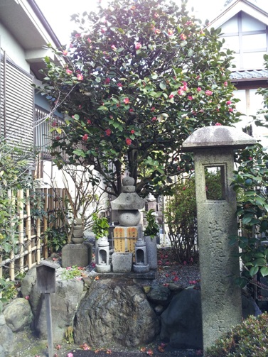 e0033713_16465915.jpg