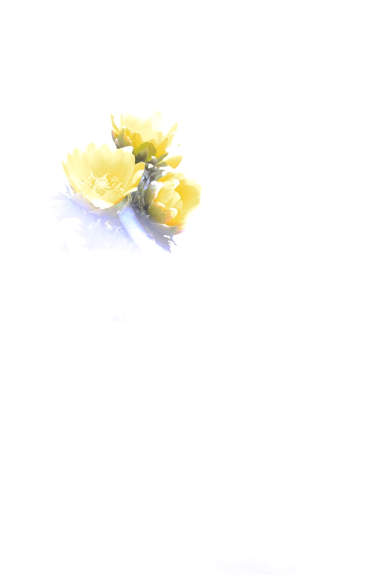 b0146723_18425154.jpg