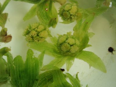 f0132230_0435585.jpg