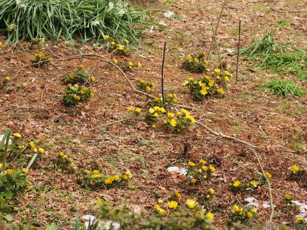 c0133533_00571787.jpg