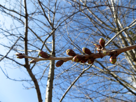 f0234936_113234.jpg