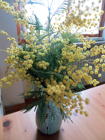 f0234936_1173515.jpg