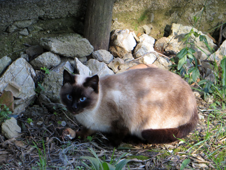 f0234936_1185572.jpg