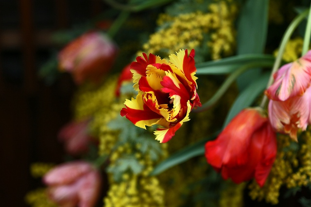 a0242438_20104720.jpg