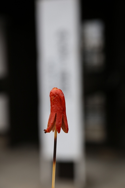 a0242438_2011315.jpg