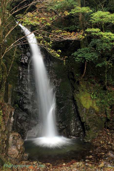 e0083238_23351279.jpg