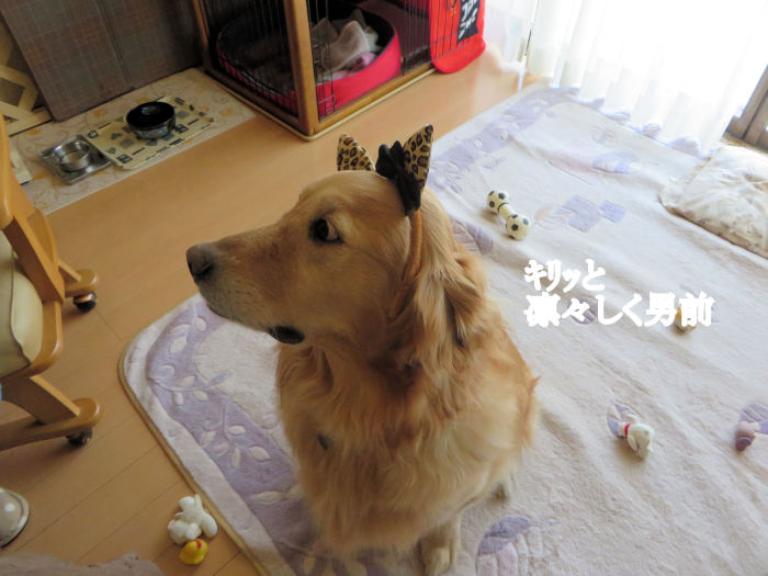 a0149240_07242730.jpg