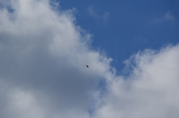b0288942_1846164.jpg