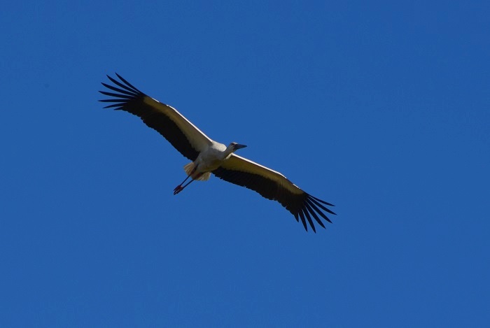b0288942_1850111.jpg