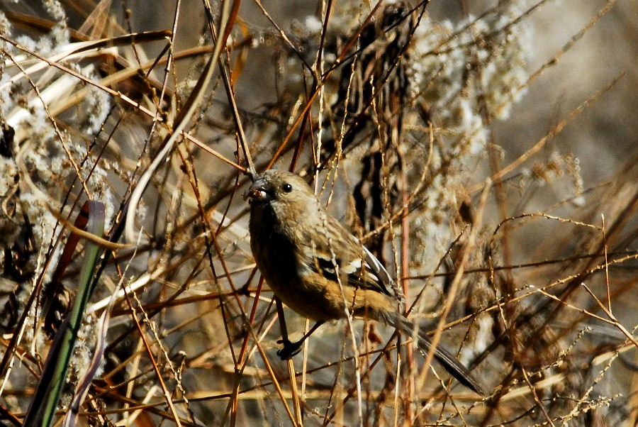 f0124451_22304087.jpg