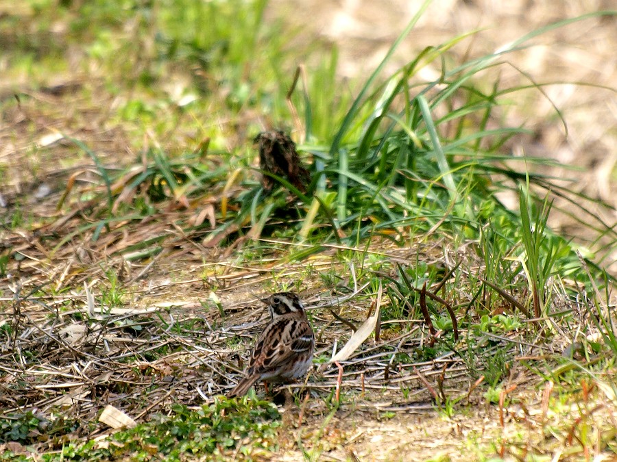 f0124451_22394171.jpg
