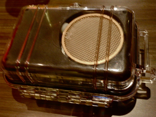 b0242956_656270.jpg