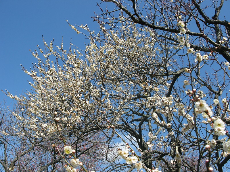 a0052762_2125884.jpg