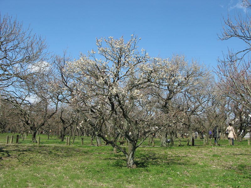 a0052762_21262338.jpg
