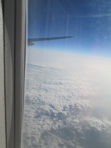 d0029363_16401898.jpg