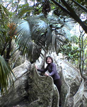 f0137483_039189.jpg