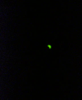 f0137483_0454390.jpg