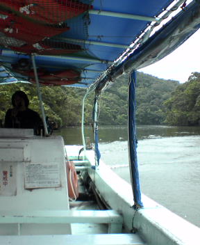f0137483_10205294.jpg