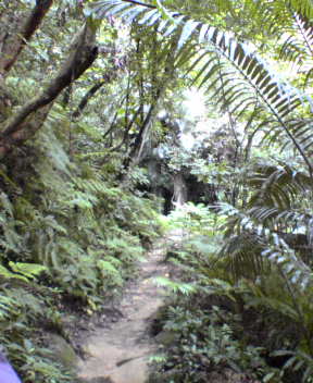 f0137483_1021102.jpg