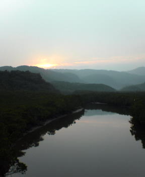 f0137483_10215038.jpg