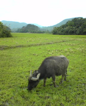 f0137483_10234032.jpg
