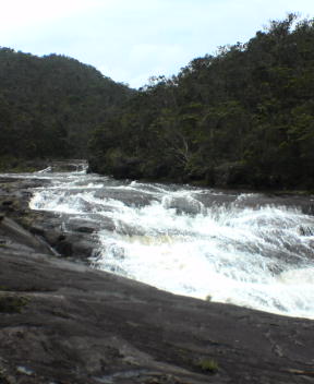 f0137483_10245830.jpg
