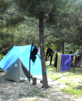 f0137483_1026194.jpg