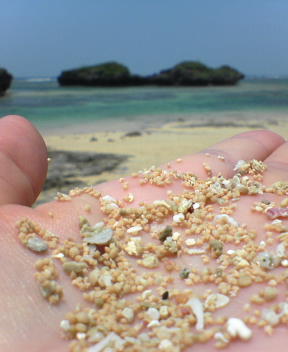 f0137483_10293687.jpg