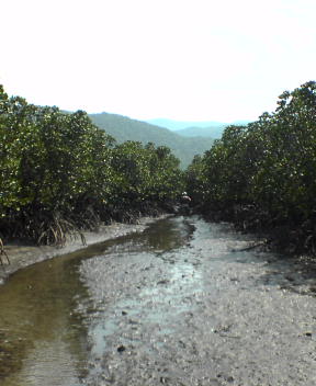 f0137483_1030151.jpg