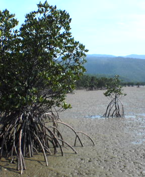 f0137483_1030463.jpg