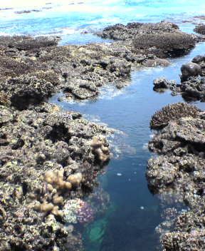 f0137483_10349.jpg
