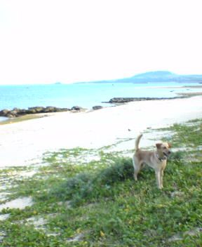 f0137483_10381182.jpg