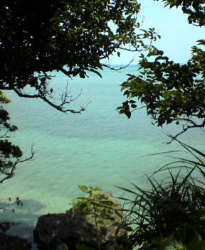 f0137483_10431525.jpg