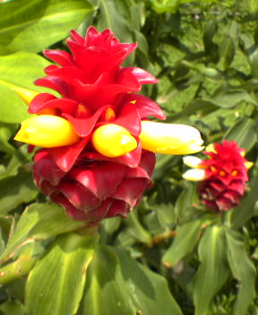 f0137483_10435770.jpg