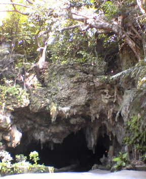 f0137483_1043621.jpg